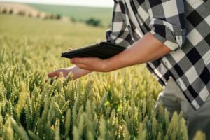 Recomendado só para você