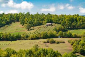 Recomendado só para você